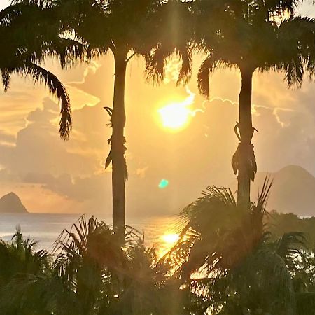 Superbe Studio Martinique Vue Rocher Du Diamant Sainte-Luce Exterior photo
