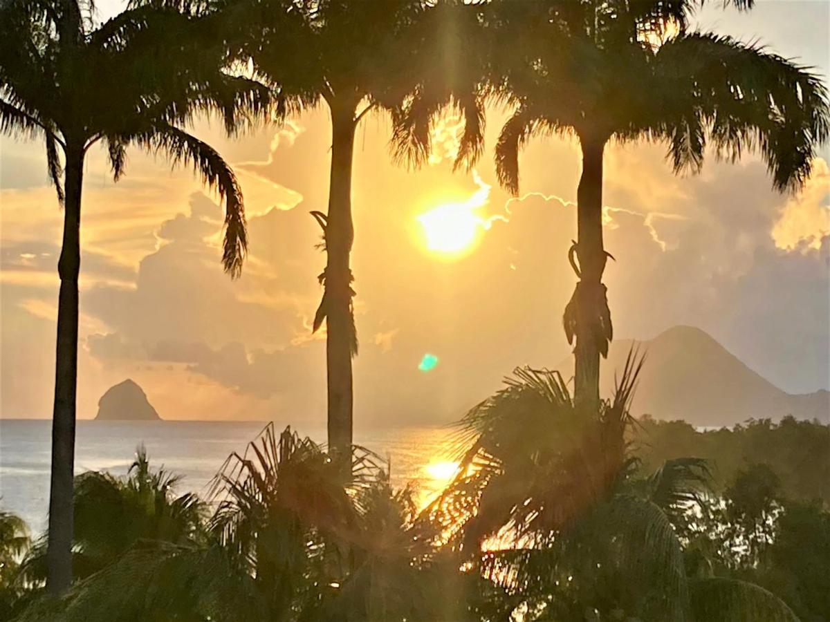 Superbe Studio Martinique Vue Rocher Du Diamant Sainte-Luce Exterior photo